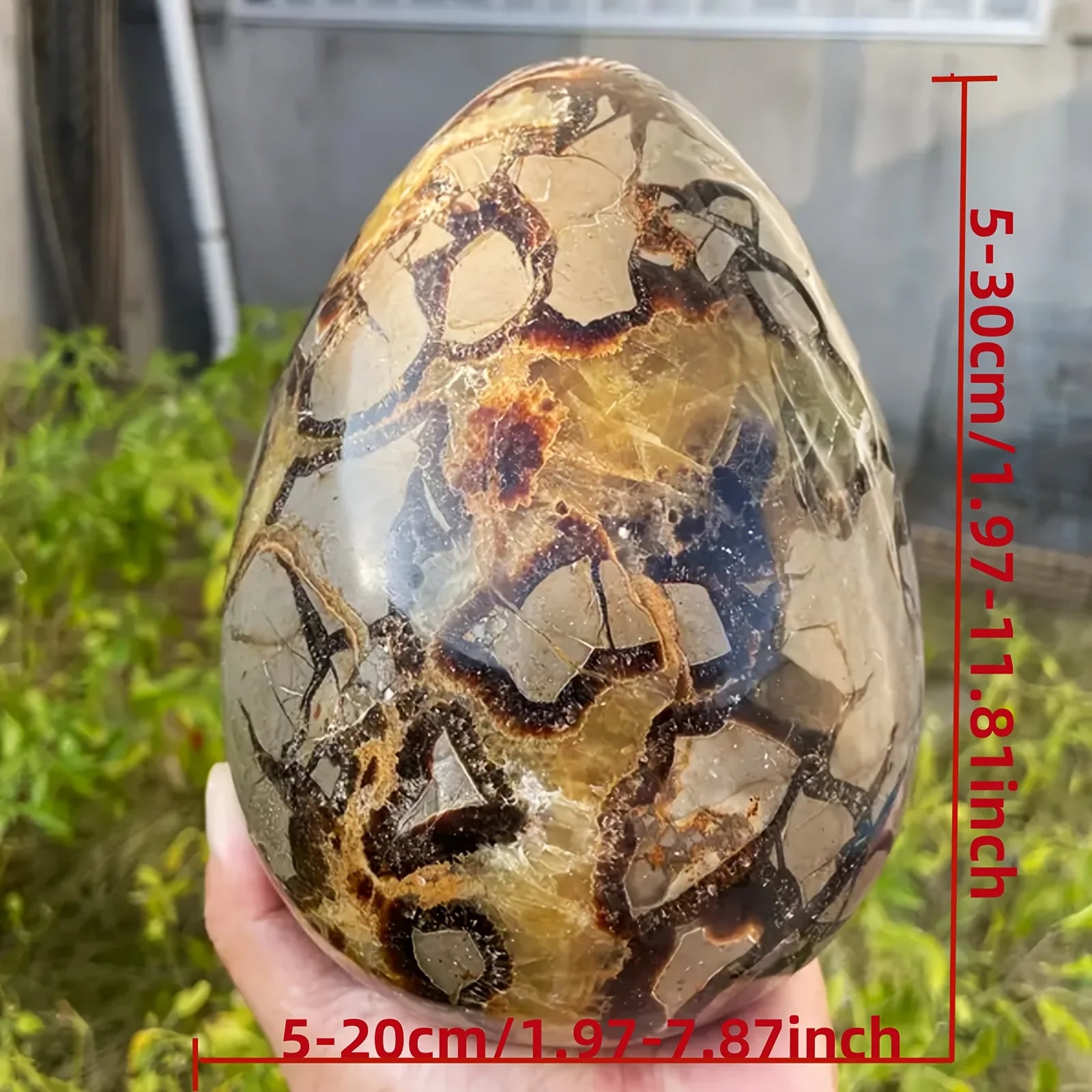 1pc, 12 kg Natural Septarian Crystal Egg - Eye Catching Home Decor